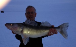 Dave Wood-Fish 25.5 S